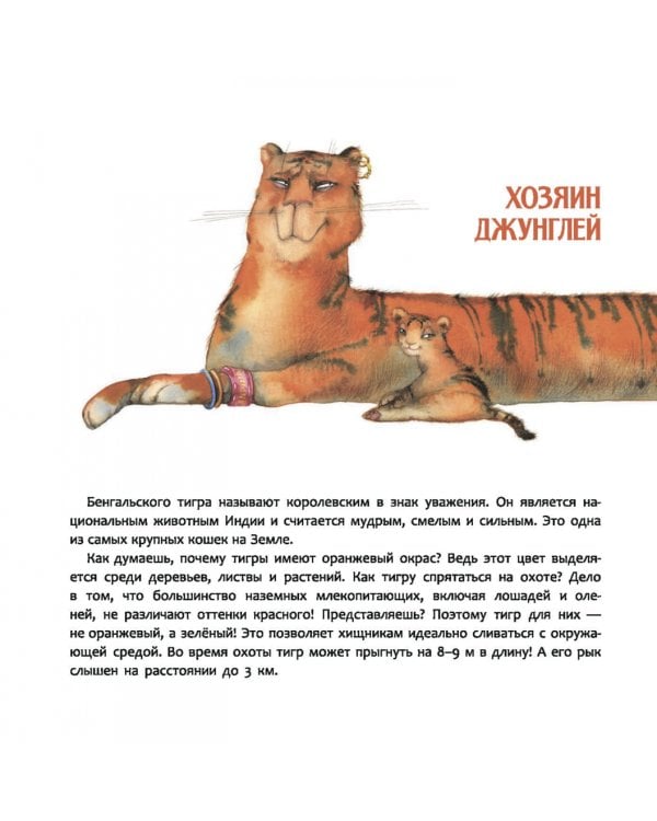 Индия. Страна мудрецов