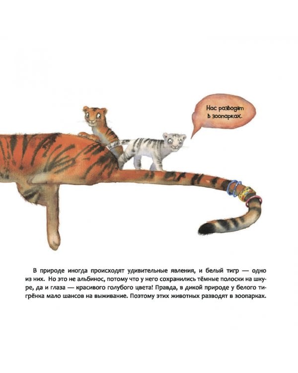 Индия. Страна мудрецов