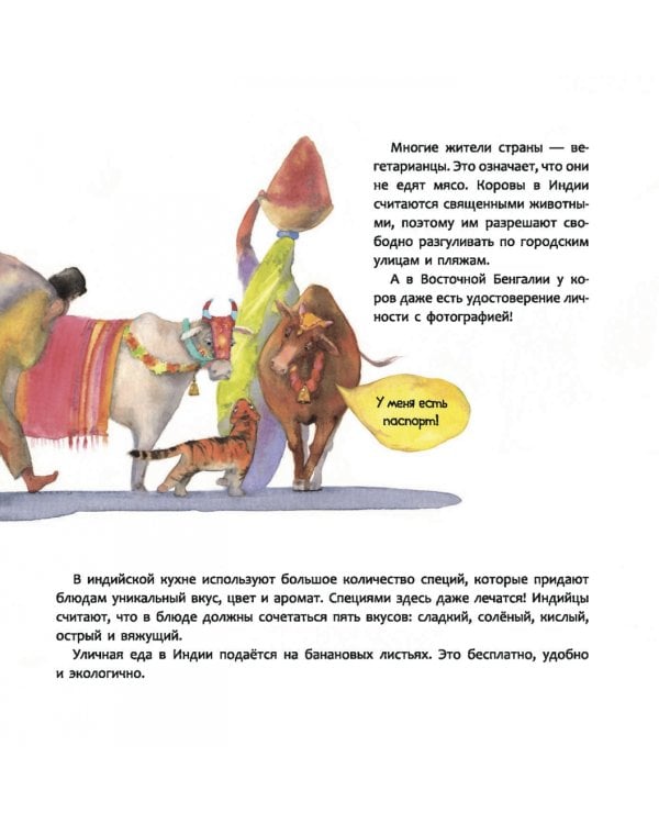 Индия. Страна мудрецов