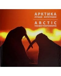 Арктика. Лучшие фотографии