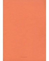 Блокнот "Terracotta" (60 листов, А5, нелинованный, с перфорацией) (529937)