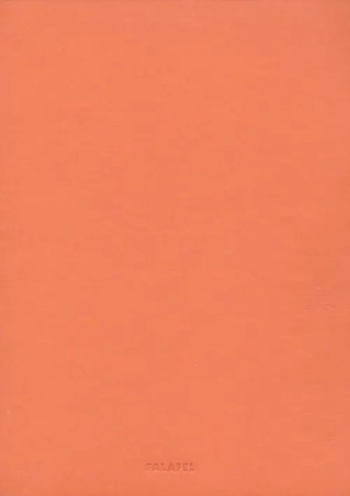 Блокнот "Terracotta" (60 листов, А5, нелинованный, с перфорацией) (529937)