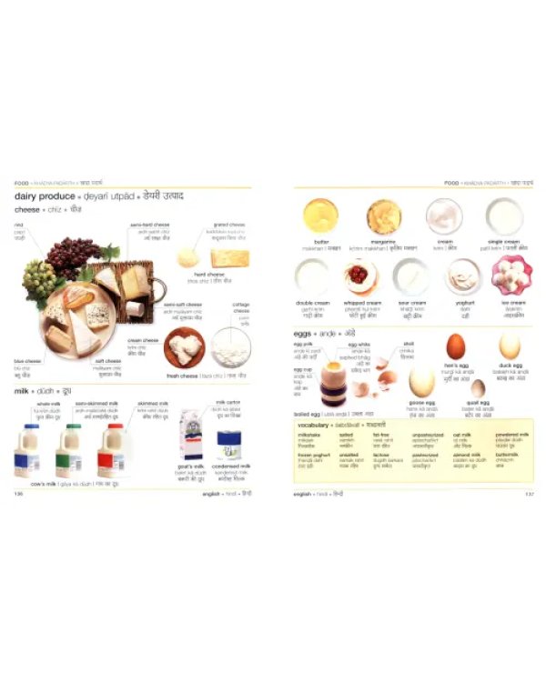 Hindi English Bilingual Visual Dictionary