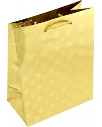 Пакет подарочный голографический (180х227) (MG-207)