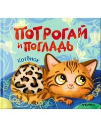 Потрогай и погладь. Котёнок