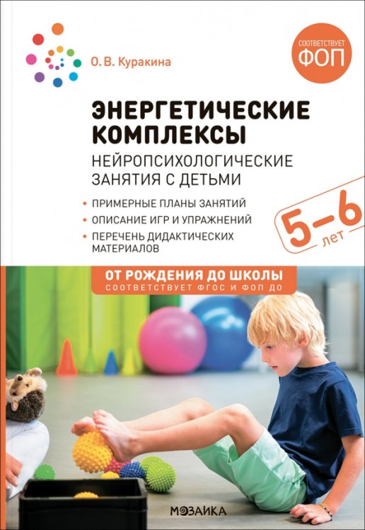 Обложка книги «Энергетические комплексы. Нейропсихологические занятия с детьми 5-6 лет. Методическое пособие» — Куракина Олеся Викторовна, ISBN 9785431544576