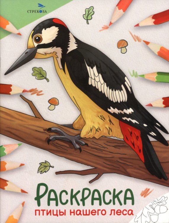 Обложка книги «Раскраска. Птицы нашего леса. Окружающий мир» — Калугина Марина, ISBN 9785995164760