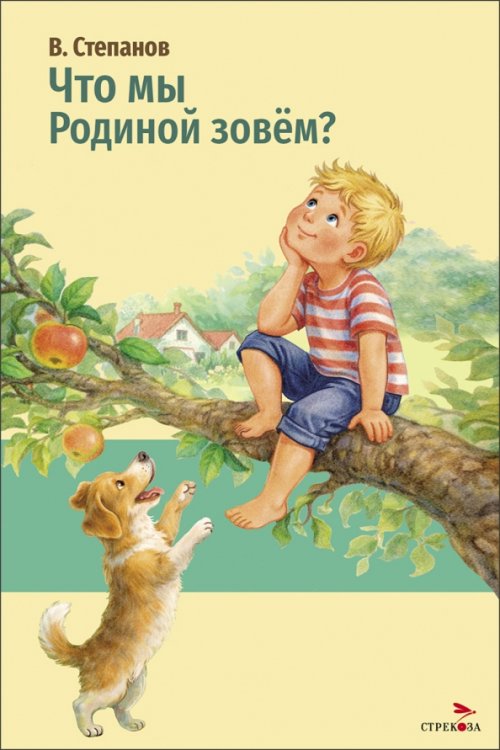 Обложка книги «Что мы Родиной зовем?» — Степанов Владимир Александрович, ISBN 9785995165354