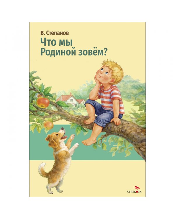 Дополнительное изображение книги «Что мы Родиной зовем?»