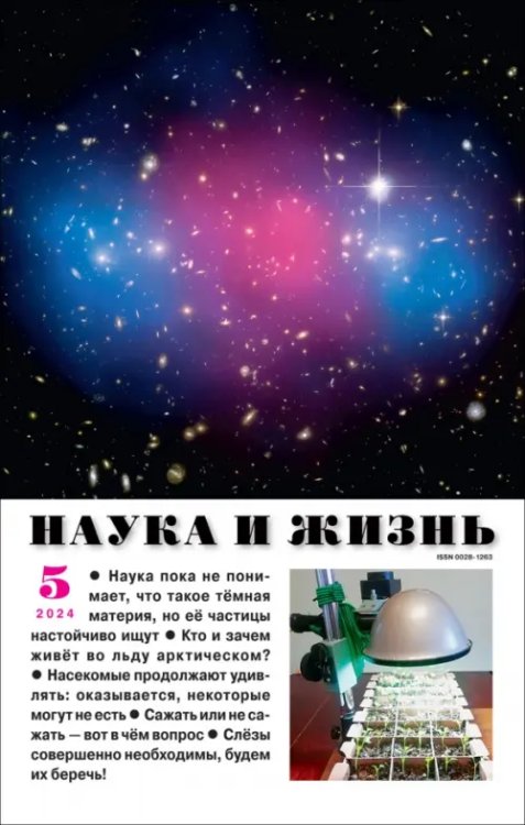 Обложка книги «Журнал Наука и жизнь № 5 2024»