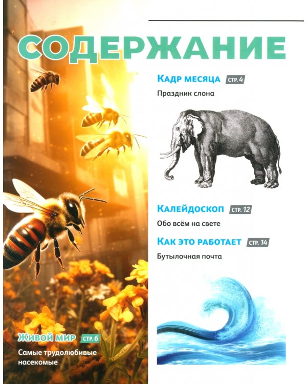 Дополнительное изображение книги «Думай КИДС № 2024 № 27 (03)»