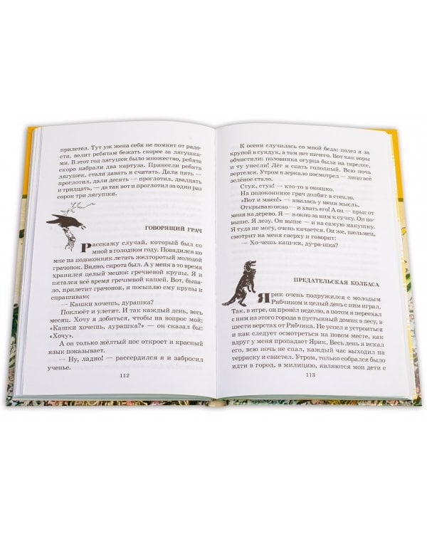 Дополнительное изображение книги «Кладовая солнца»