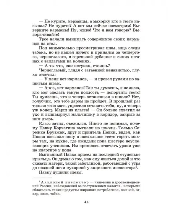 Дополнительное изображение книги «Как закалялась сталь»
