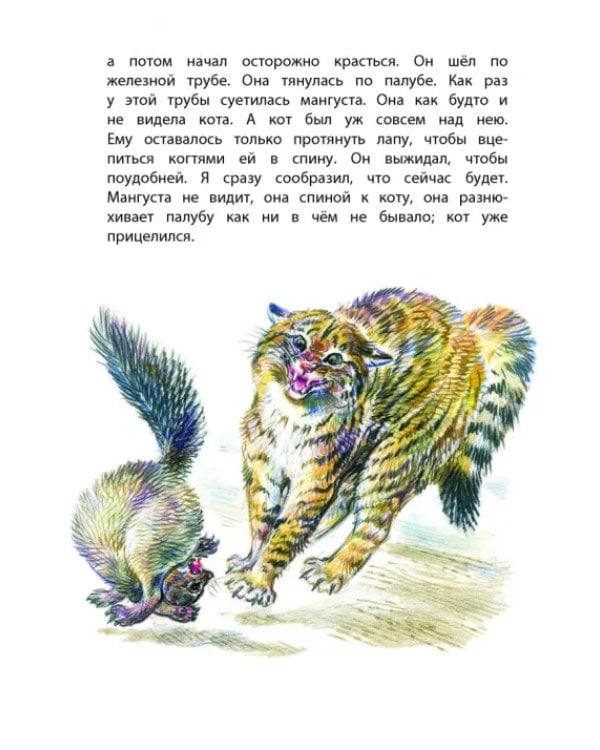 Дополнительное изображение книги «Рассказы о животных»
