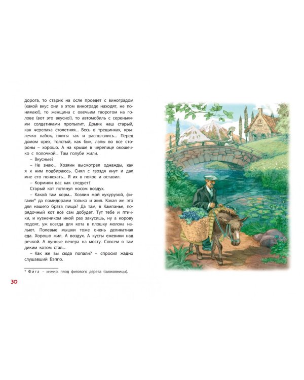 Дополнительное изображение книги «Кошачья санатория»