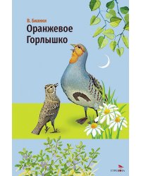Оранжевое горлышко