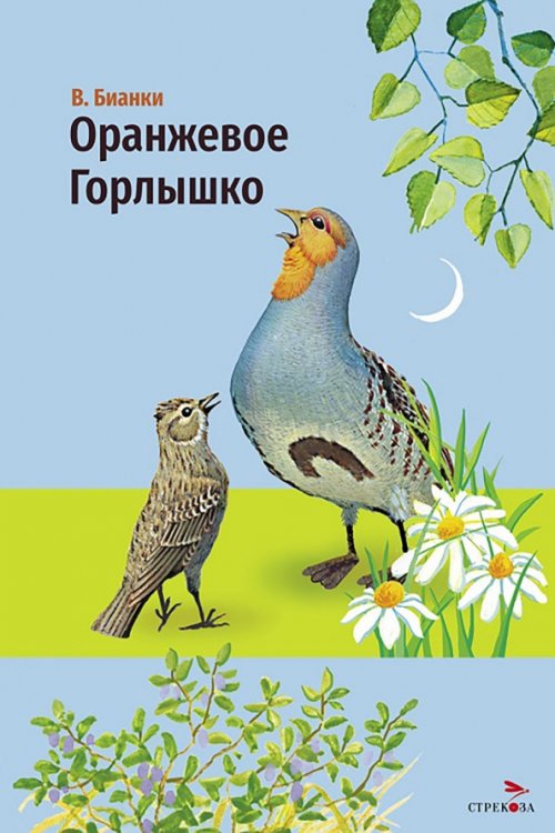 Обложка книги «Оранжевое горлышко» — Бианки Виталий Валентинович, ISBN 9785995165057