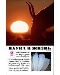 Наука и жизнь. 2023. № 2