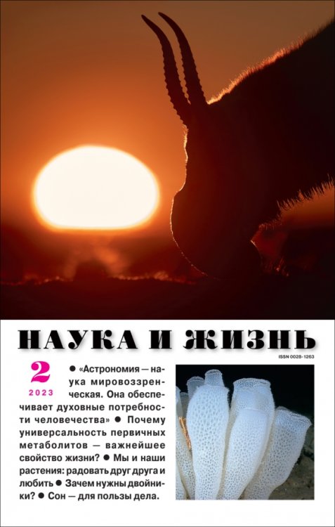 Обложка книги «Наука и жизнь. 2023. № 2»