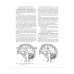 Дополнительное изображение книги «Научно-практический комментарий к Порядку определения степени тяжести вреда, причиненного здоровью»