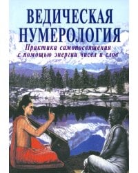 Ведическая нумерология. Практика самопосвящения с помощью энергии чисел и слов