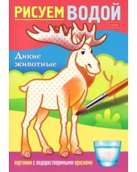 Рисуем водой Дикие животные