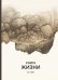 Обложка книги «Книга жизни» — Ли Пэйфу, ISBN 9785907646704