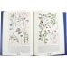 Дополнительное изображение книги «Ботанический атлас. Карл фон Гофман»