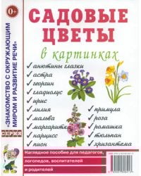 Садовые цветы в картинках: наглядное пособие для педагогов, логопедов, воспитателей и родителей