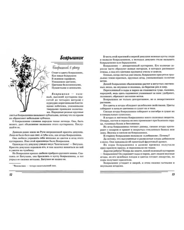Дополнительное изображение книги «Кустарники. Какие они? Книга для воспитателей, гувернеров и родителей»