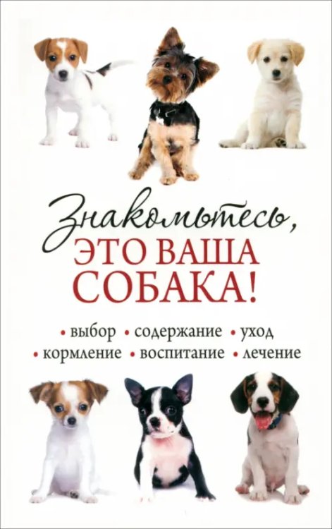 Досуг Знакомьтесь, это ваша собака!