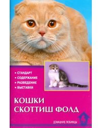 Кошки скоттиш фолд. Стандарт. Содержание