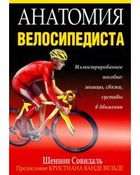 Анатомия велосипедиста