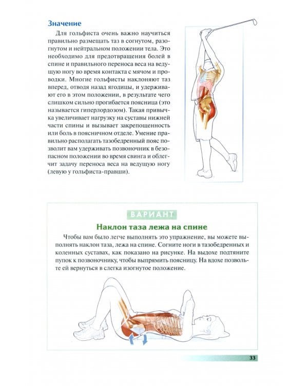 Анатомия гольфа