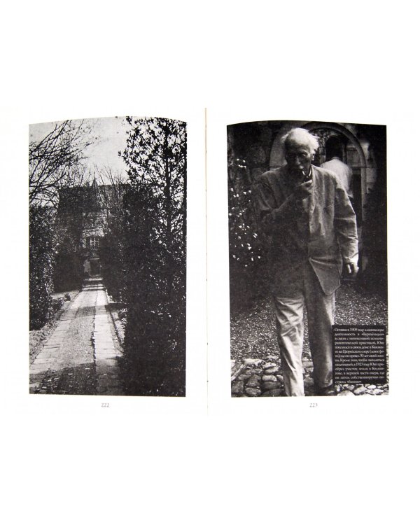 Энциклопедия глубинной психологии. Том 4: Индивидуальная психология. Аналитическая психология