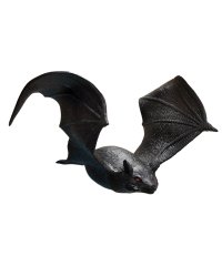 Растягивающаяся игрушка, летучая мышь