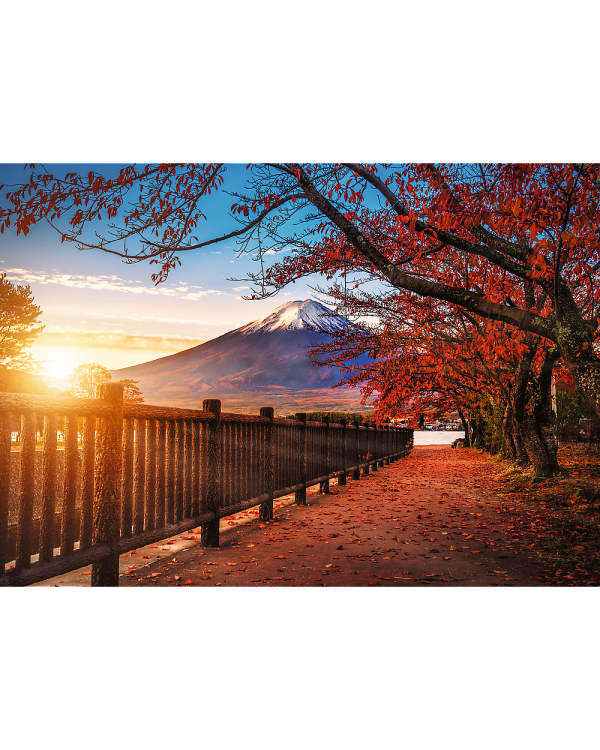 TREFL Premium Plus Пазл Mount Fuji, 1000 шт.