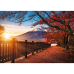 TREFL Premium Plus Пазл Mount Fuji, 1000 шт.