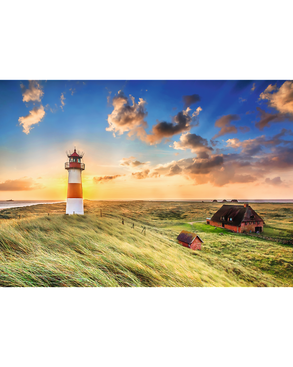 TREFL Premium Plus Пазл List-Ost Lighthouse, 1000 шт.