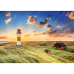 TREFL Premium Plus Пазл List-Ost Lighthouse, 1000 шт.