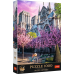 TREFL Premium Plus Пазл Notre-Dame Cathedral of Paris, 1000 шт.