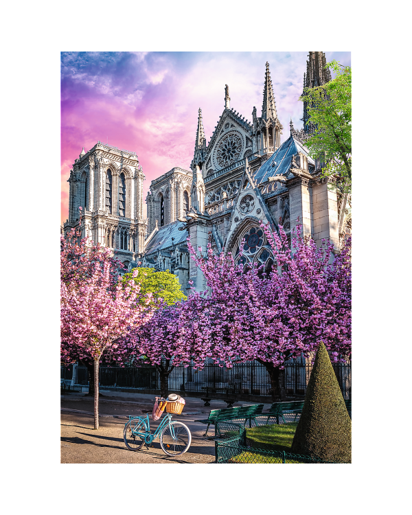 TREFL Premium Plus Пазл Notre-Dame Cathedral of Paris, 1000 шт.