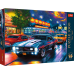 TREFL Premium Plus Пазл Ночной путь, 1000 шт.