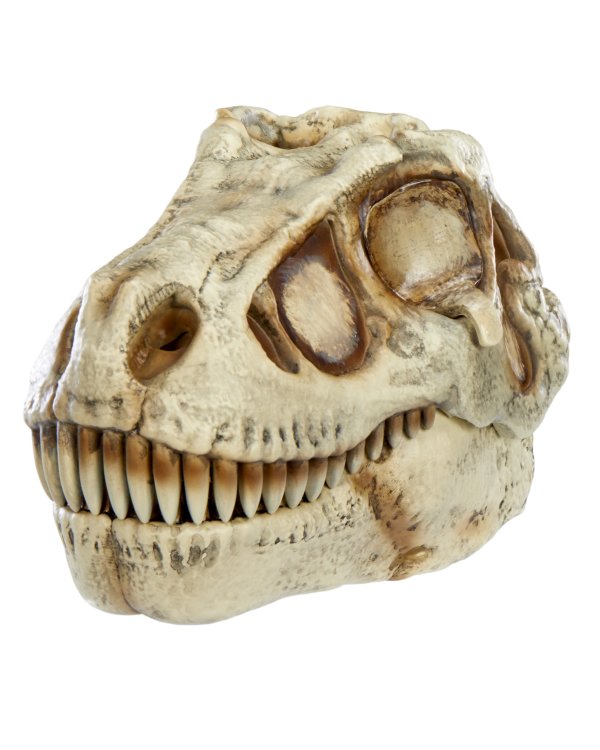 GROSSMOS интерактивный игровой набор Dino