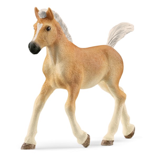 SCHLEICH HORSE CLUB Жеребенок хафлингер