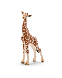 SCHLEICH WILD LIFE Детеныш Жирафа