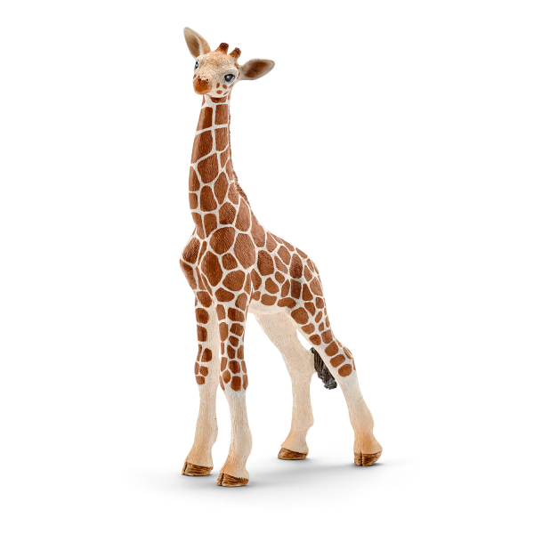 Обложка книги «SCHLEICH WILD LIFE Детеныш Жирафа»