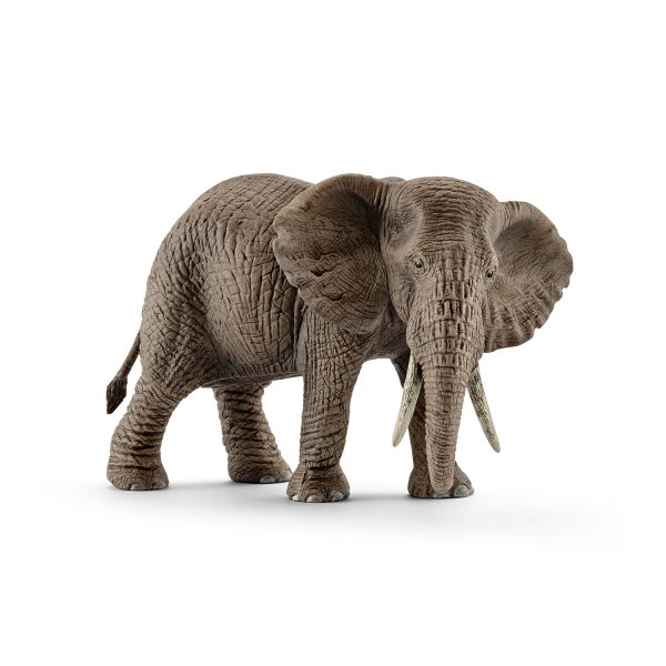 Обложка книги «SCHLEICH WILD LIFE Африканская Слониха»