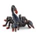 Обложка книги «SCHLEICH WILD LIFE Императорский скорпион»