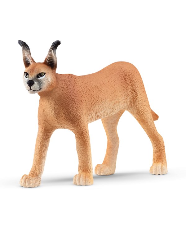 SCHLEICH WILD LIFE Степная рысь